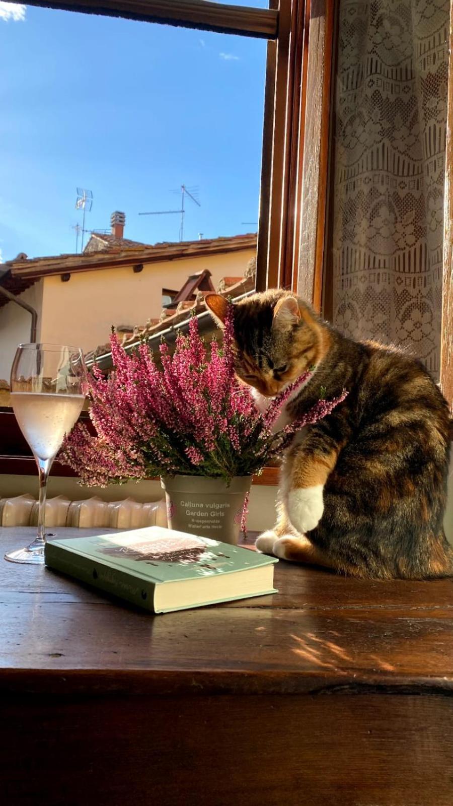 Vila Casa Letizia Castiglion Fiorentino Exteriér fotografie